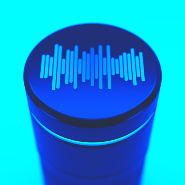 Gli smart speaker aprono le porte all’era del voice commerce